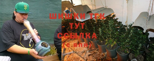 прущие грибы Краснослободск