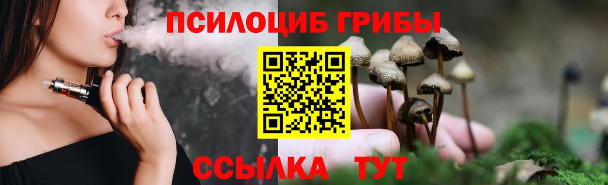 купить наркотик  Псилоцибиновые грибы Magic Shrooms  Вход с VPN  Кувандык 