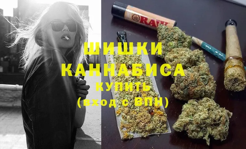 mega зеркало  Кувандык  shop как зайти  продажа наркотиков  Марихуана сатива 